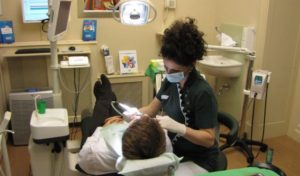 Clinique soins dentaires